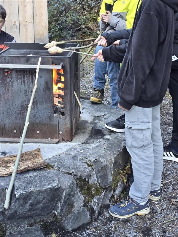 20225373 499e 45f9 a02c e3001460d877