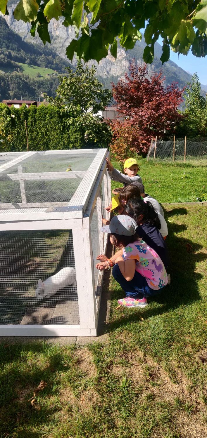 Microsoft Teams image